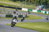 enduro-digital-images;event-digital-images;eventdigitalimages;mallory-park;mallory-park-photographs;mallory-park-trackday;mallory-park-trackday-photographs;no-limits-trackdays;peter-wileman-photography;racing-digital-images;trackday-digital-images;trackday-photos